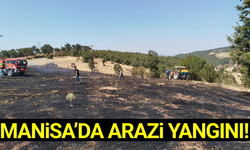Manisa'da arazi yangını!