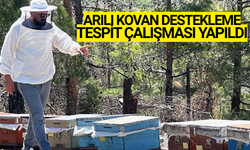 Muğla'da arı kovanı destekleme sayımları başladı
