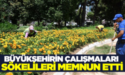 Aydın Büyükşehir Belediyesi'nden Kapsamlı Hizmet Seferberliği