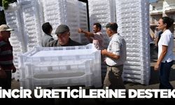 Aydın'da incir üreticilerine destek