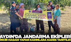 Aydın'da incir hasadı yapan kadınlara KADES tanıtıldı