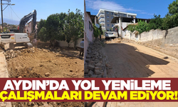 Aydın'da yollar yenileniyor!