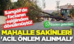Sarıgöl’de mahalle sakinlerinden ağaçlara acil bakım çağrısı