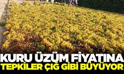 Başkan İksir’den kuru üzüm fiyatına tepki
