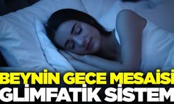 Uykuda beyin temizliği: Glimfatik sistem