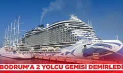 Ege'de 2 yolcu gemisi demirlendi!