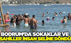 Bodrum'da yaz sezonunda yoğunluk yaşanıyor!