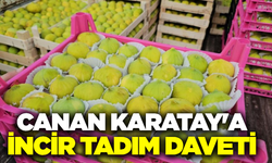 Buharkent'in Taze İncir Festivali başladı!