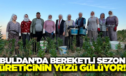 Buldan'da bereketli sezon: Fiyatlar üreticinin yüzünü güldürdü