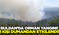 Buldan'daki orman yangınında 1 kişi dumandan etkilendi