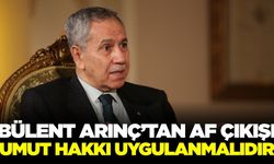 Bülent Arınç: "Genel Affa Zaruri İhtiyaç Var"