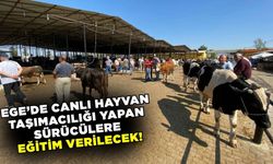 Ege'de canlı hayvan nakliyesi ile ilgili eğitim!
