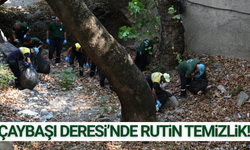 Çaybaşı Deresi'nde kapsamlı temizlik çalışması