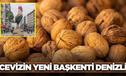 Denizli artık cevizin başkenti