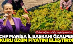 CHP Manisa İl Başkanı Özalper, canlı yayında üzümcülerin sorunlarını dile getirdi
