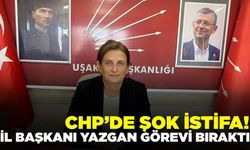 CHP'de bir istifa daha: Yazgan görevden ayrıldı!