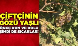 Don ve dolunun ardından bir de sıcaklar üzüm bağlarını vurdu!