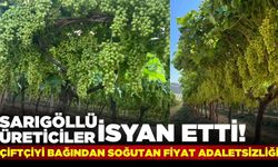 Sarıgöllü çiftçiler çözüm bekliyor; Tarladan pazara devasa fark!