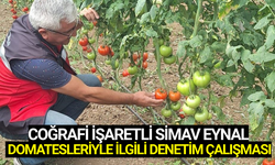Simav Eynal Domatesi' seraları denetlendi