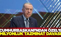 Cumhurbaşkanı'ndan Özel'e milyonluk tazminat davası