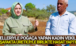 Denizli Milletvekili Ün, bu kez üzümcünün taleplerini dile getirdi