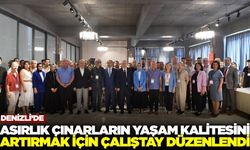 Denizli’de Asırlık Çınarlar İçin Çalıştay Düzenlendi