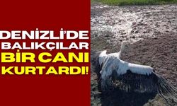Denizli'de balıkçıların dikkati bir canı kurtardı!