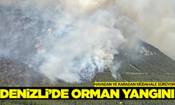 Denizli'de orman yangını!