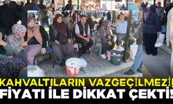 İlçede doğal lezzetlere yoğun ilgi: Peynir fiyatları dikkat çekti