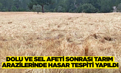 Kütahya'da sel felaketi sonrası hasar tespiti başladı