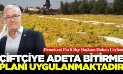 DP İlçe Başkanı Hakan Ceyhan’dan TARİŞ’in üzüm fiyatına tepki
