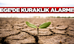 Ege için tehlike çanları çalıyor!
