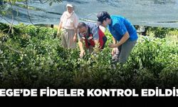 Ege'de TAKE projesi çerçevesinde fideler kontrol edildi!