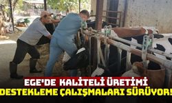 Ege'de hayvan sağlığını koruma çalışmaları devam ediyor!