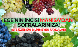 Ege'nin incisi Manisa'dan sofralarınıza: Üzümün şifa dolu yolculuğu