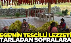 Tescilli Lezzet Sofralarla Buluşuyor