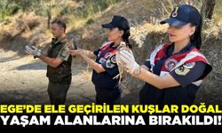 Ege'de Doğa koruma faaliyetleri devam ediyor!
