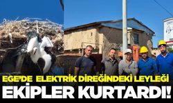 Ege'de leylek kurtarma operasyonu!