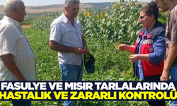 Kütahya İl Tarım ve Orman Müdürlüğü'nden tarlalara sıkı takip