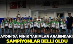 Aydın'da minik takımlar arasındaki şampiyonlar sonunda belli oldu