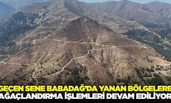 Geçen yıl Babadağ'da yanan bölgelere ağaçlandırma çalışmaları sürdürülüyor