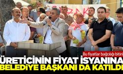 Geçen yıl 25 TL olan üzüm, bu sezon 20 TL'ye düştü!