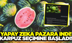 Geleneksel yöntemler yapay zekaya meydan okuyor