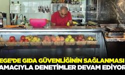 Ege'de gıda işletmelerine denetim!