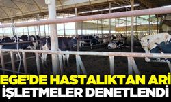 Ege'de hayvan sağlığı için çalışmalar devam ediyor!