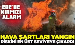 Ege'de ormanlar için kırmızı alarm!