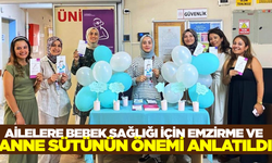 Hisarcık Devlet Hastanesi'nden anne sütü ve çevre mesajı