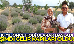 Hobi olarak başladığı işi gelir kapısına dönüştü!