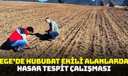 Ege'de hasar tespit çalışması gerçekleştirildi!