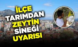 İlçe Tarımdan zeytin üreticilerine uyarı!